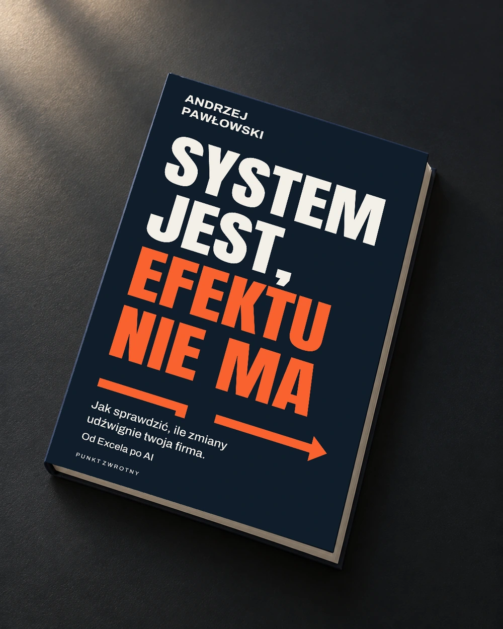 Książka »System jest, efektu nie ma«